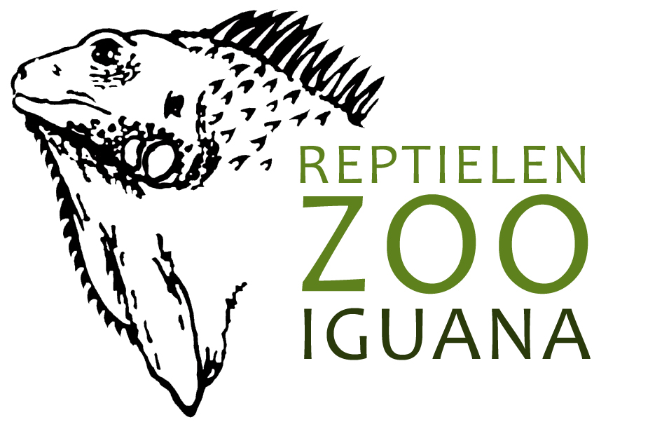 Iguana Reptielenzoo