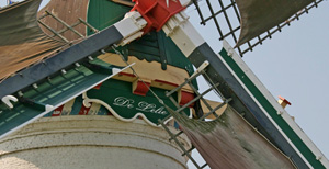 Molen de Lelie